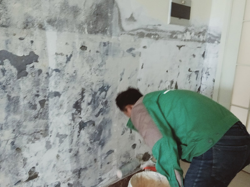 墻面刷墻固漆：首先就是要對墻面進行固封，固封是很重要的一個環(huán)節(jié)，主要包括兩個方面：一是對墻面開裂處或者有孔洞的地方進行填補，填補物主要是石膏，二是對墻面基層進行鞏固，這需要使用固化劑。在完成固封、防水之后首先就要進行厚找平層處理，一般都是先批刮膩子一遍，一定要注意厚度要適中，既不能太厚也不能太薄，要按照它的標準來，一般要求是不超過5毫米。接著再進行精找平層處理，這時候一遍就不夠了，一般膩子要批刮2-3遍，太厚也無益。批刮完之后還需要用砂紙進行打磨。盡可能地使墻面看上去更平整光滑。