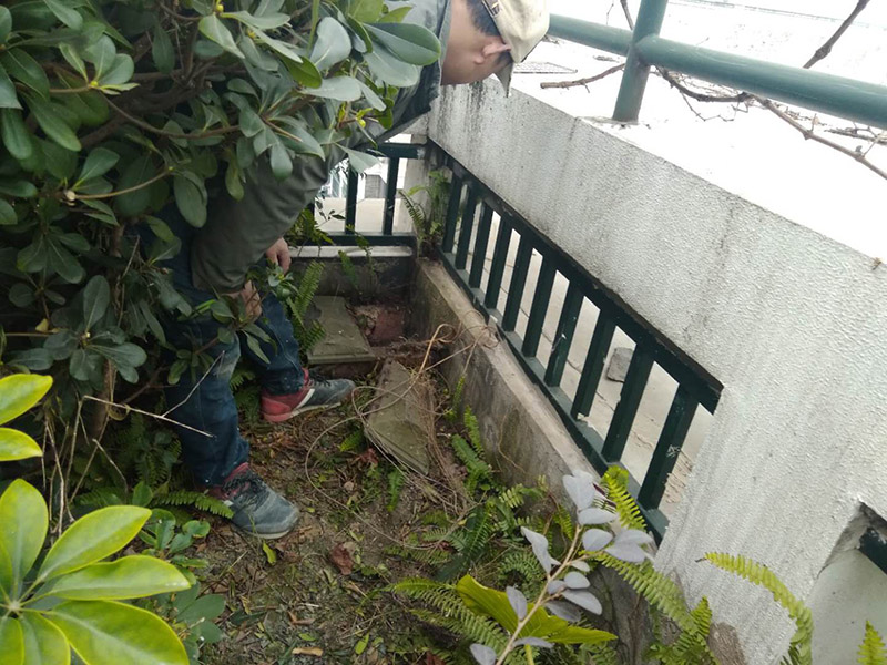 屋頂露臺看現(xiàn)場：如果防水師傅沒有檢驗基層，直接就刷防水涂料的話，那么基層比較差，后期肯定會發(fā)生滲漏問題的。當然，有的朋友會說，即便發(fā)生這種情況，后果也是該師傅來承擔的。但事實上，真的沒有人會希望發(fā)生問題，畢竟在出現(xiàn)問題之后，會給自己生活帶來很大的麻煩。