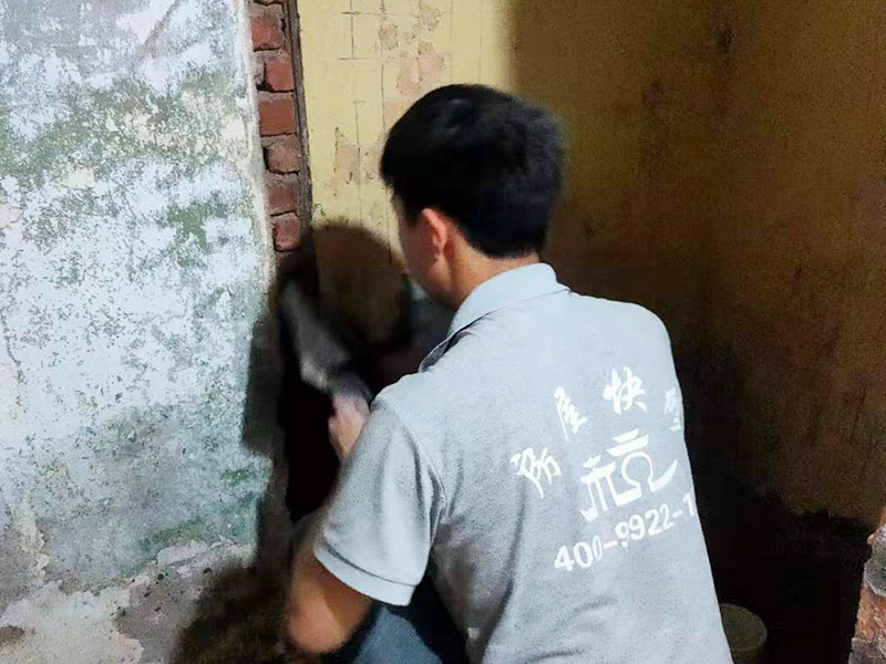 墻面抹水泥找平:步驟一：清理墻面；把墻面起皮和裂縫位置處理干凈，并用水泥砂漿補(bǔ)抹好，把殘留的灰渣鏟除干凈，然后把墻面清理干凈。需要注意的是：如果墻面吸水性比較強(qiáng)，要先用清水濕潤或是噴刷膠水做封底處理。  步驟二：第一遍刮膩?zhàn)?；水泥抹面的墻面最好配制底料，不僅能降低工程造價(jià)，還可以提高施工的質(zhì)量。 步驟三：第二遍刮膩?zhàn)?；第一遍墻體干透后，可以上第二遍膩?zhàn)舆M(jìn)一步刮平。但是第二遍的膩?zhàn)诱{(diào)兌不易過稀，它的含水量別過大，要保證第二遍膩?zhàn)庸瓮亢蟮乃直M快被第一遍的膩?zhàn)游?，只有等到墻面水分減少到一定程度后方才可進(jìn)