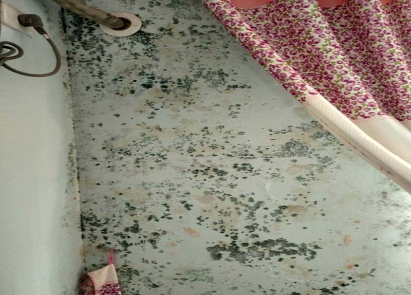 墻壁發(fā)霉怎么處理,墻壁發(fā)霉補救方法,墻壁發(fā)霉維修技巧