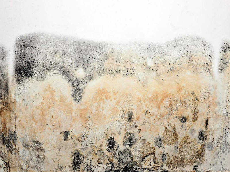 墻面發(fā)霉怎么處理妙招整理，搞清楚發(fā)霉原因?qū)ΠY下藥才能藥到病除