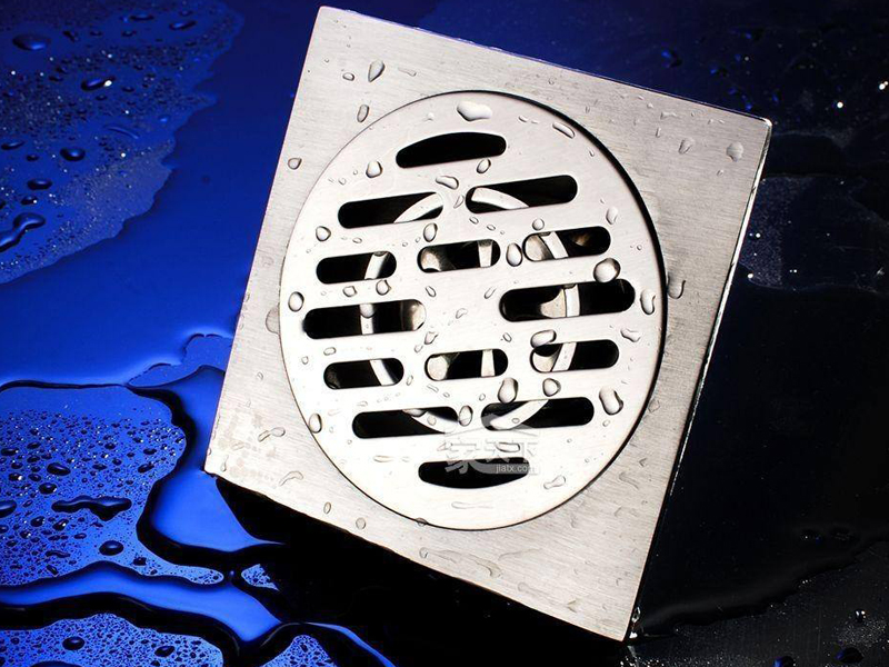 地漏總是反味有異味偶爾還有小飛蟲，保證地漏清潔是解決問題的根本