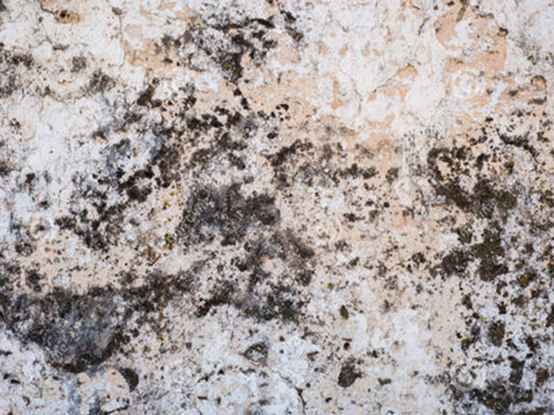 墻面發(fā)霉怎么處理妙招整理，搞清楚發(fā)霉原因?qū)ΠY下藥才能藥到病除