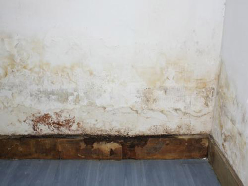 墻面發(fā)霉怎么處理妙招整理，搞清楚發(fā)霉原因?qū)ΠY下藥才能藥到病除