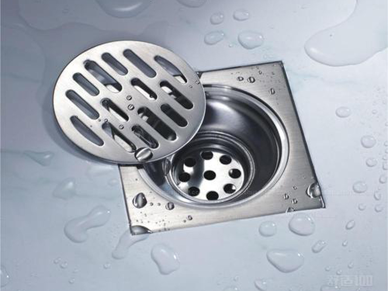 地漏總是反味有異味偶爾還有小飛蟲，保證地漏清潔是解決問題的根本