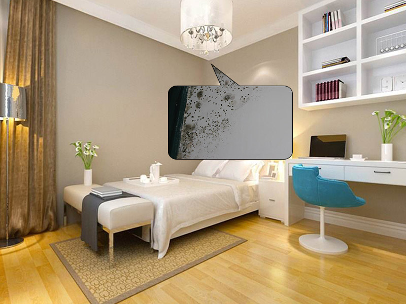 驚了！原來墻體發(fā)霉會對人體存在危害，