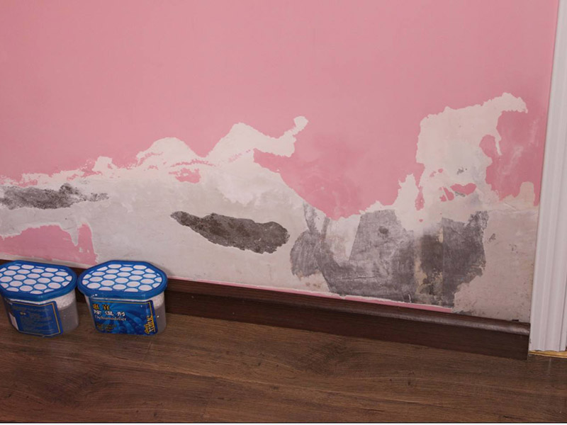 梅雨季節(jié)墻壁發(fā)霉怎么處理，為大家整理