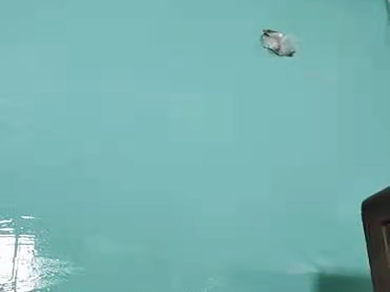 【墻面裝修材料】家庭墻面裝修，常用的