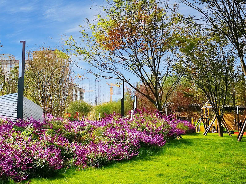 景區(qū)綠化環(huán)境改造找誰(shuí)做？