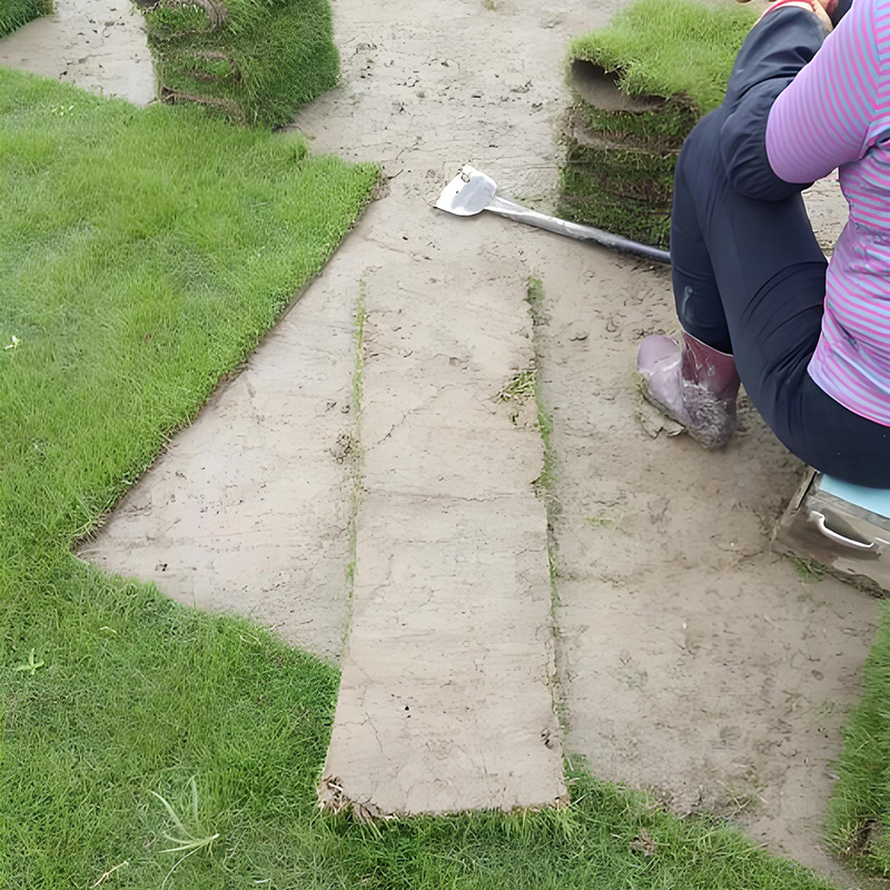 人工草坪包工包料多少錢一個平方